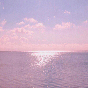 新婚之夜日逼视频
