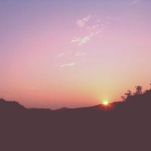 新婚之夜日逼视频
