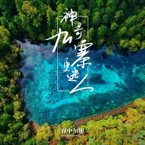 新婚之夜日逼视频
